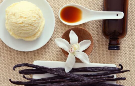 Things You Need To Know About Vanilla