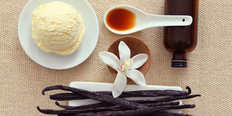 Things You Need To Know About Vanilla
