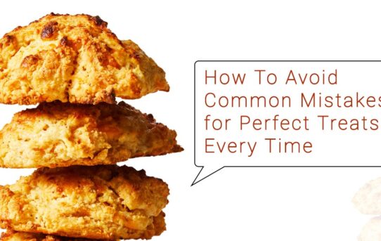 How To Avoid Common Mistakes for Perfect Treats Every Time